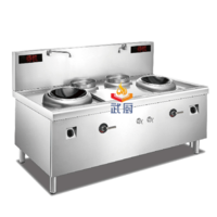 Electromagnetic double-head and double-tail frying stove