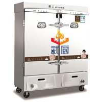 Double-door gas rice steamer